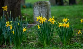 Tôt ou tard on est que des os